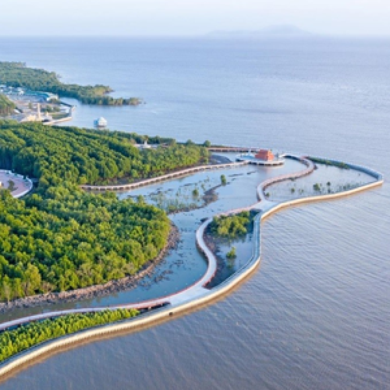 Du lịch mũi Cà Mau: Hành trình chạm tay vào điểm cuối cực Nam của tổ quốc