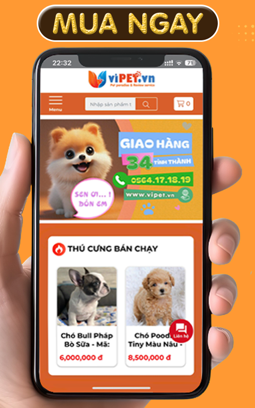 Đón cún về nhà ngay