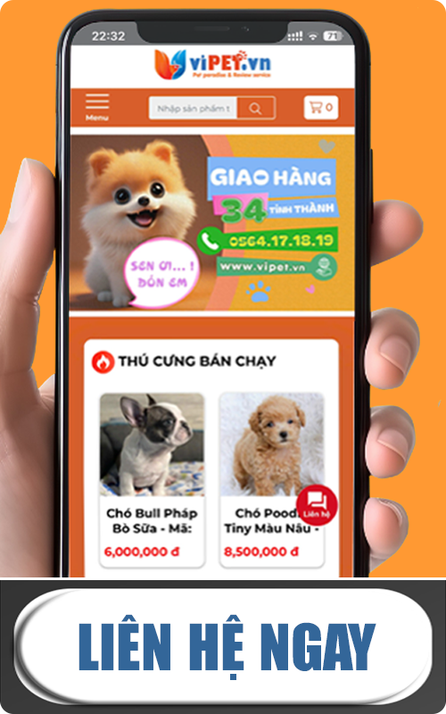 Đón cún về nhà ngay