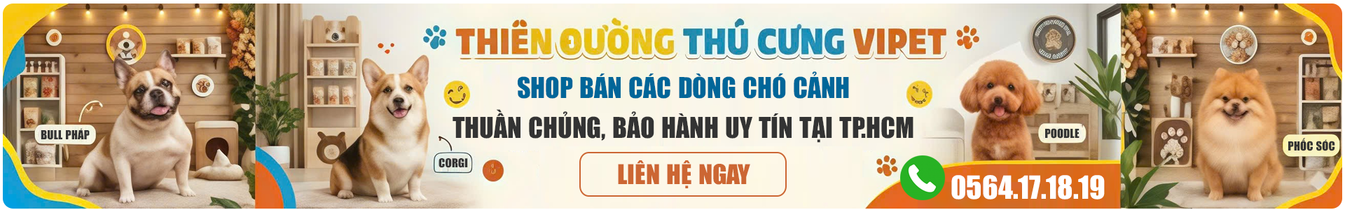 Shop thú cưng viPET