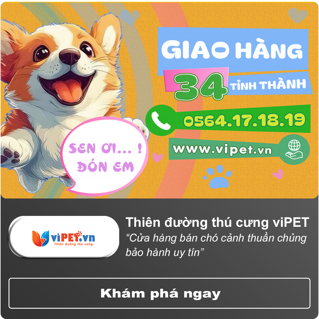 Thiên Đường Thú Cưng viPET