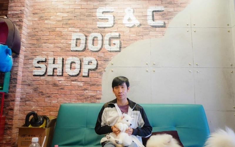 Top 5 cửa hàng bán chó cảnh uy tín tại TP.HCM