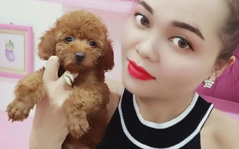 Top 5 cửa hàng bán chó cảnh uy tín tại TP.HCM