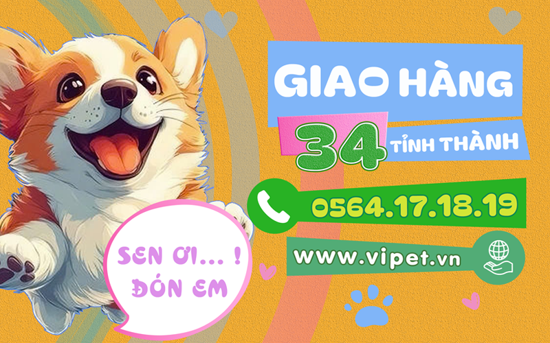 Thiên đưuòng thú cưng viPET