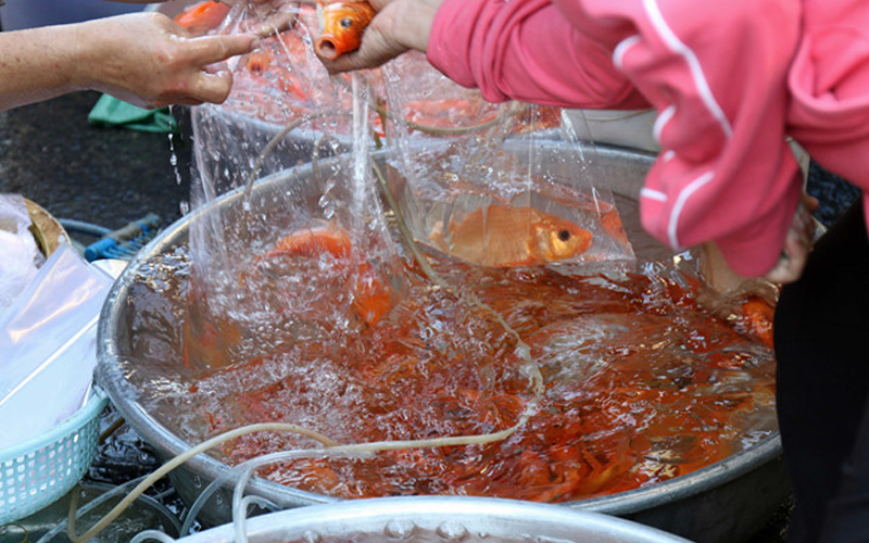 Cách bày lễ cúng tiễn ông Táo về Trời 23 tháng Chạp hàng năm