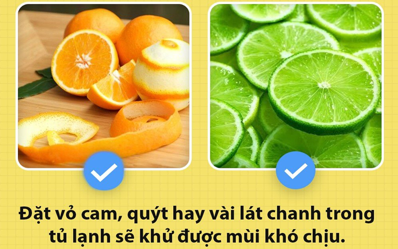 Cách khử mùi hôi tủ lạnh hiệu quả