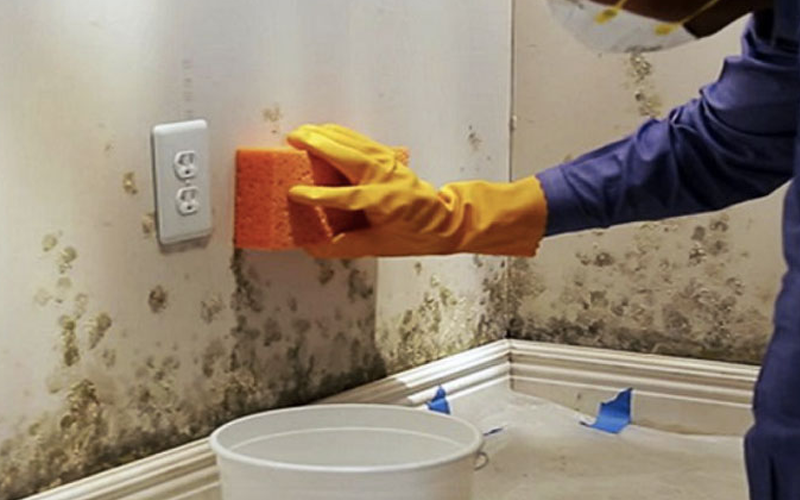 Cách tẩy nấm móc trong phòng tắm triệt để