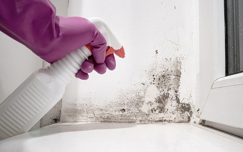 Cách tẩy nấm móc trong phòng tắm triệt để