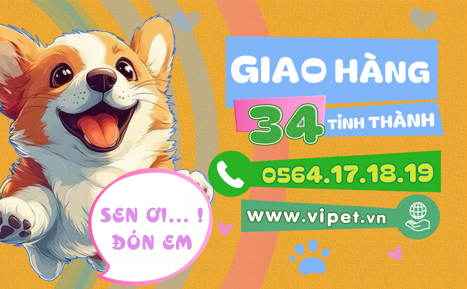 Shop bán chó corgi uy tín tại TP.HCM
