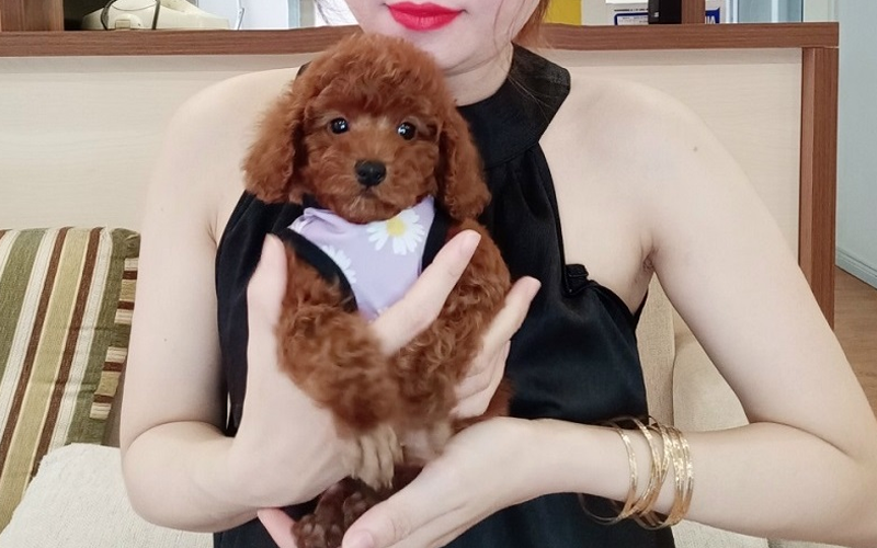 Animal House Tây Ninh