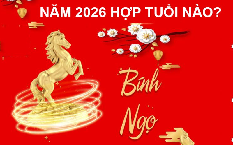 Những tuổi hợp làm ăn năm Bính Ngọ 2026, kinh doanh phất lên như diều gặp bão