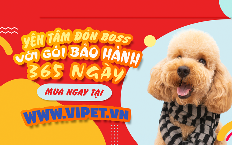 Shop thiên đườn thú cưng viPET