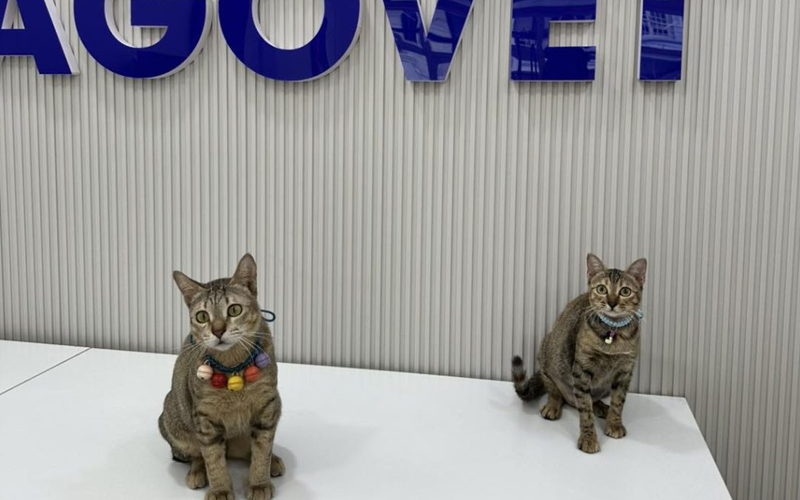 Hệ Thống Thú Y Sagovet