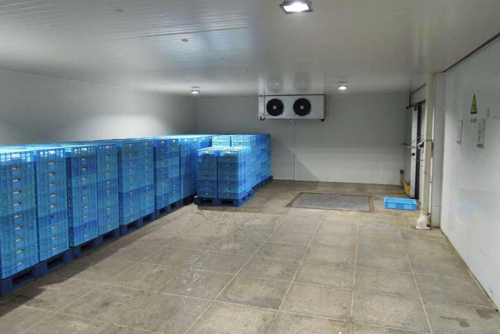 Top 3 cơ sở thu mua thanh lý kho đông, kho lạnh giá cao tại TP.HCM