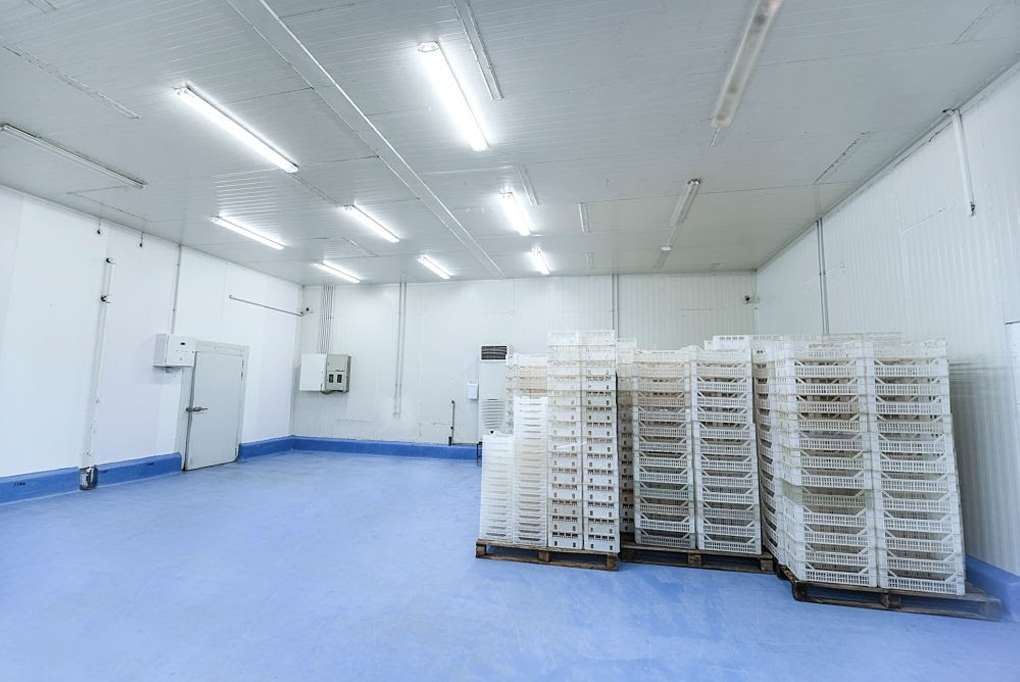 Top 3 cơ sở thu mua thanh lý kho đông, kho lạnh giá cao tại TP.HCM