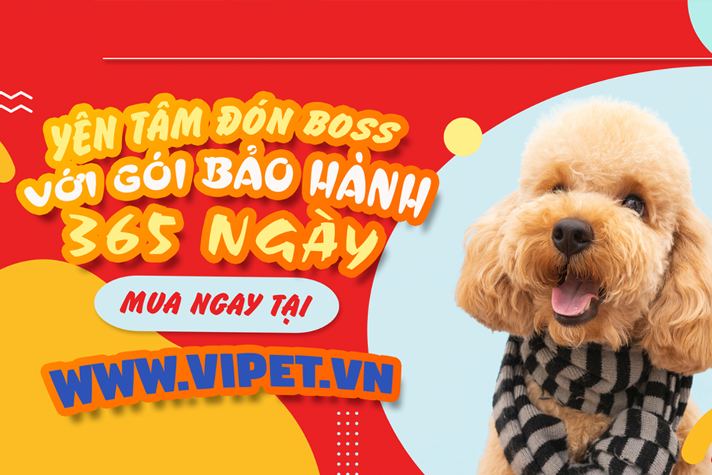 Thiên Đường Thú Cưng viPET – Hệ Thống Nhân Giống Chuyên Nghiệp