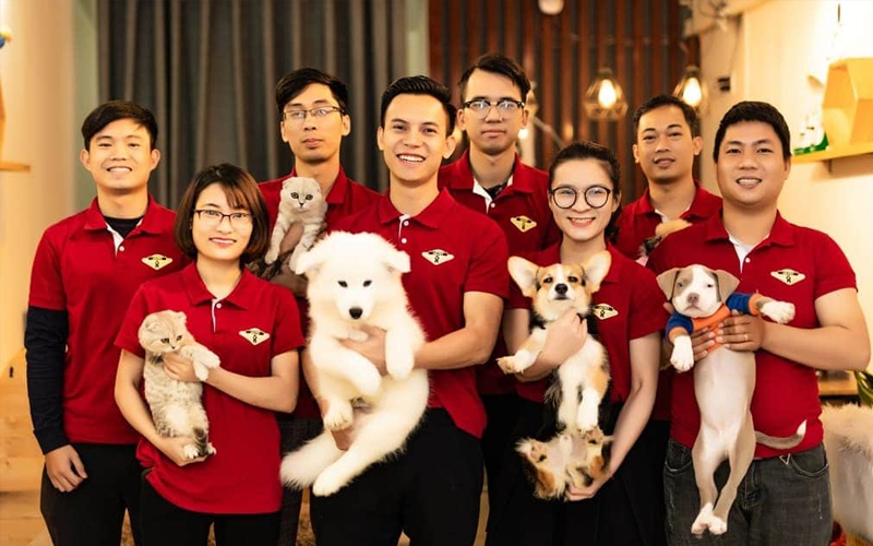 Azpet Shop – Chuyên dòng Corgi thuần chủng