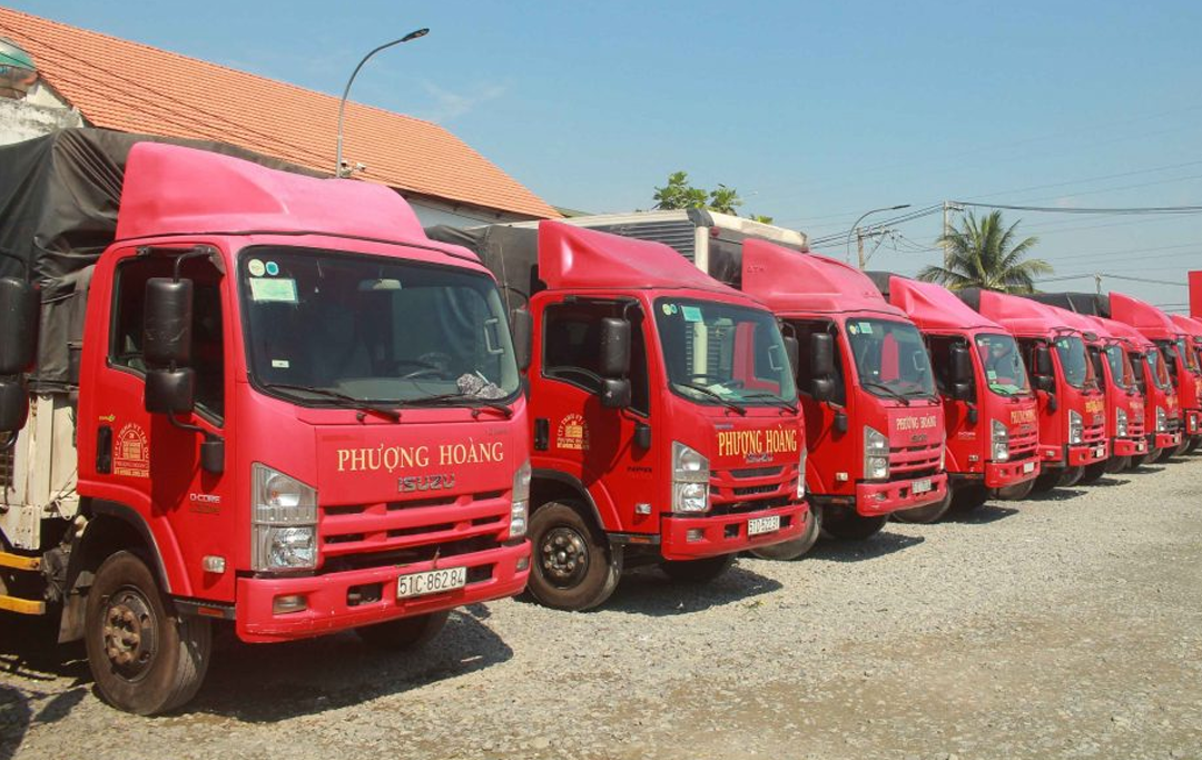 Vận Tải Phượng Hoàng