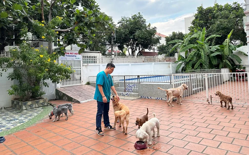 Saigon Pet Clinic – Sự kết hợp hoàn hảo giữa nghỉ dưỡng và y tế