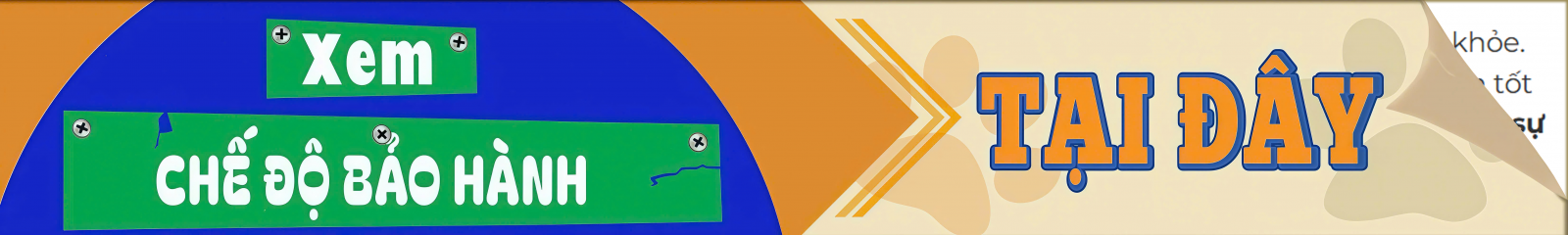 viPET: Cửa hàng bán chó Bull Pháp thuần chủng